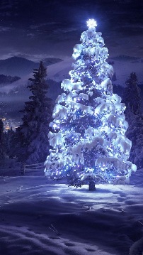 Christmas Tree lit with lights, Merry Christmas, thumb